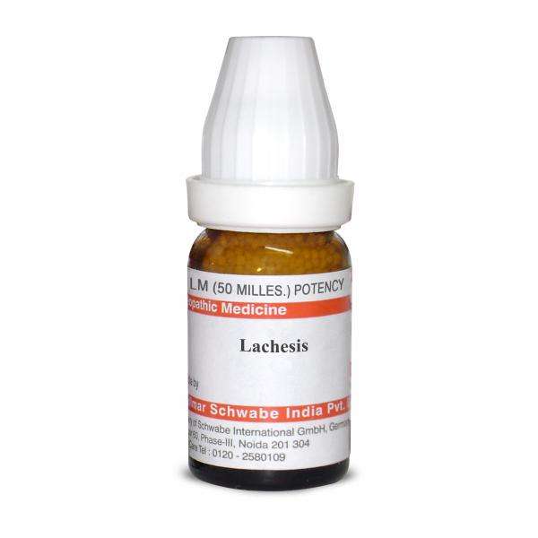 Lachesis LM